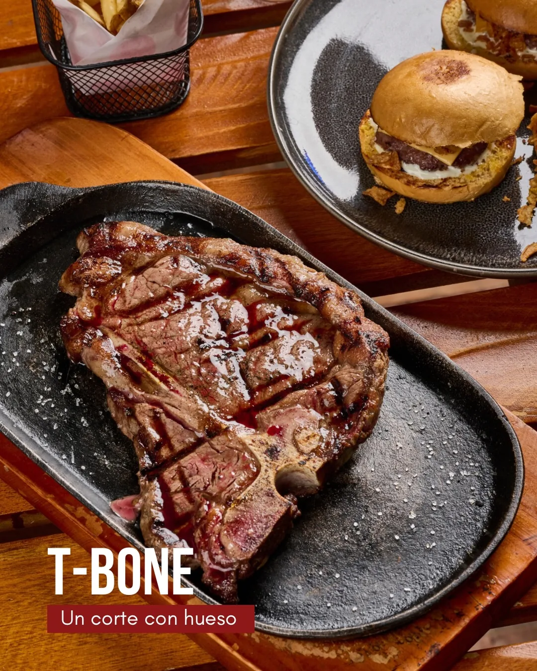 T-Bone — Red Angus